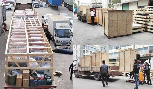 paking-2001 paking-2001